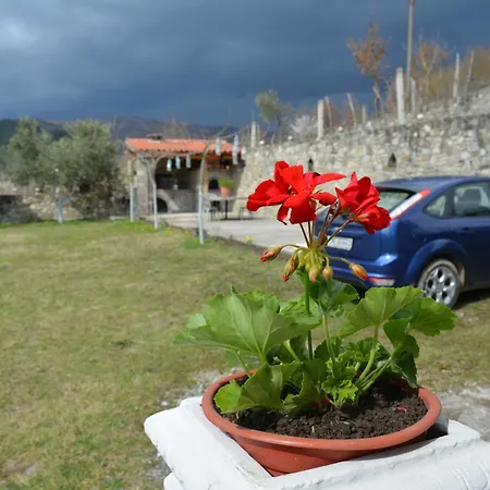 Mira Holiday home *